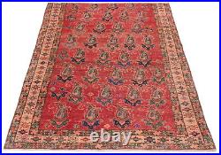 Vintage Hand-Knotted Area Rug 4'7 x 7'3 Traditional Wool Carpet